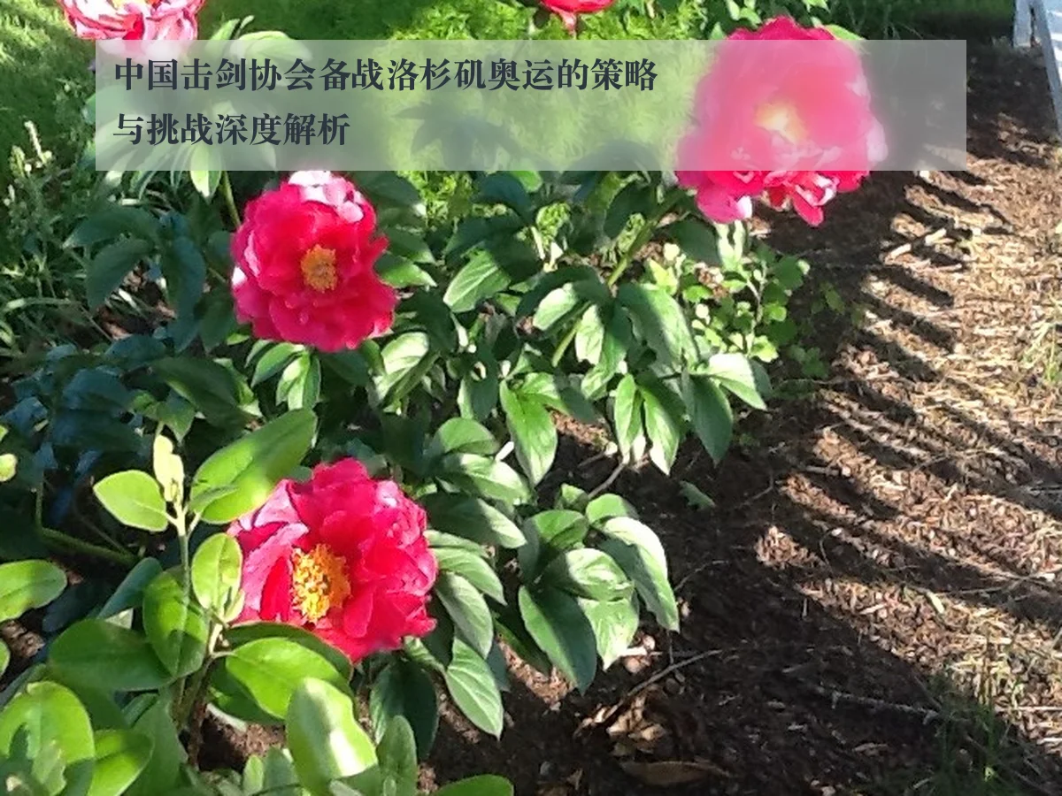 中国击剑协会备战洛杉矶奥运的策略与挑战深度解析